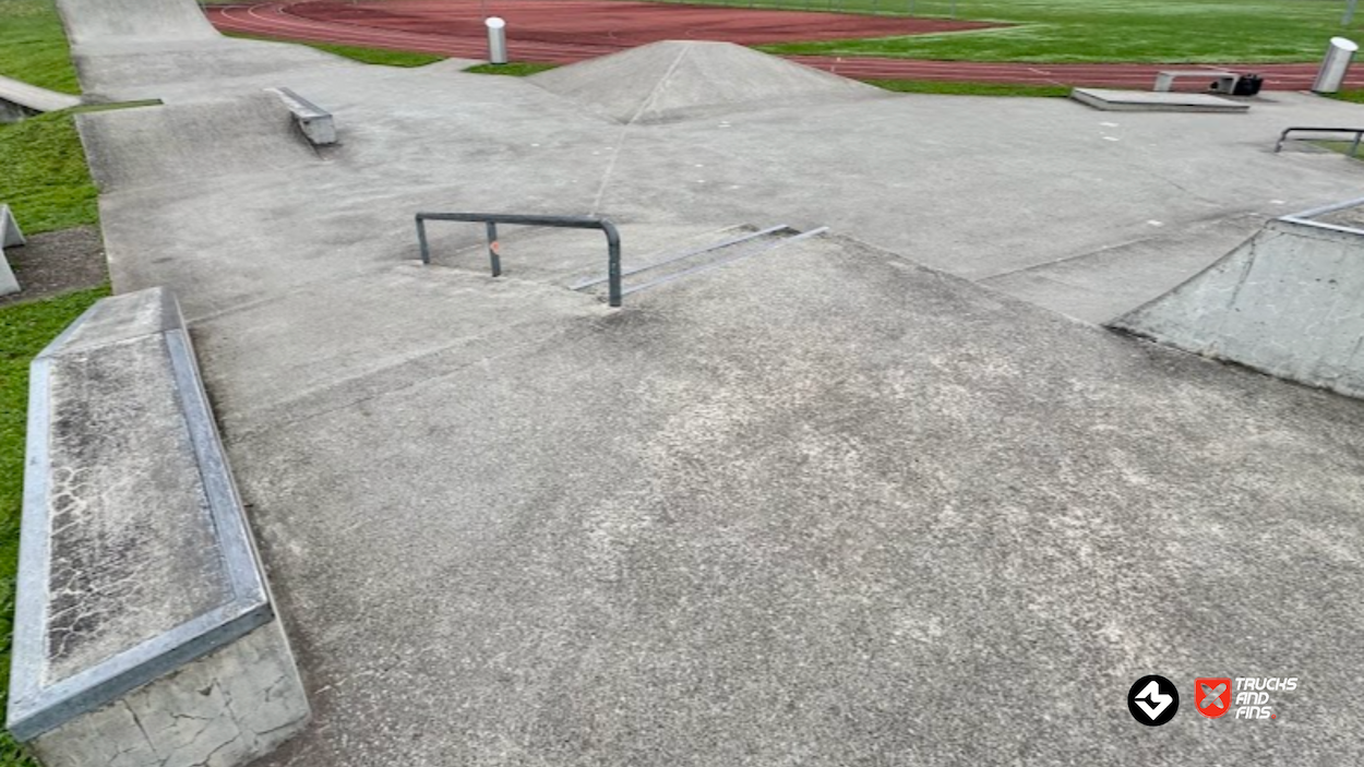 Muri skatepark